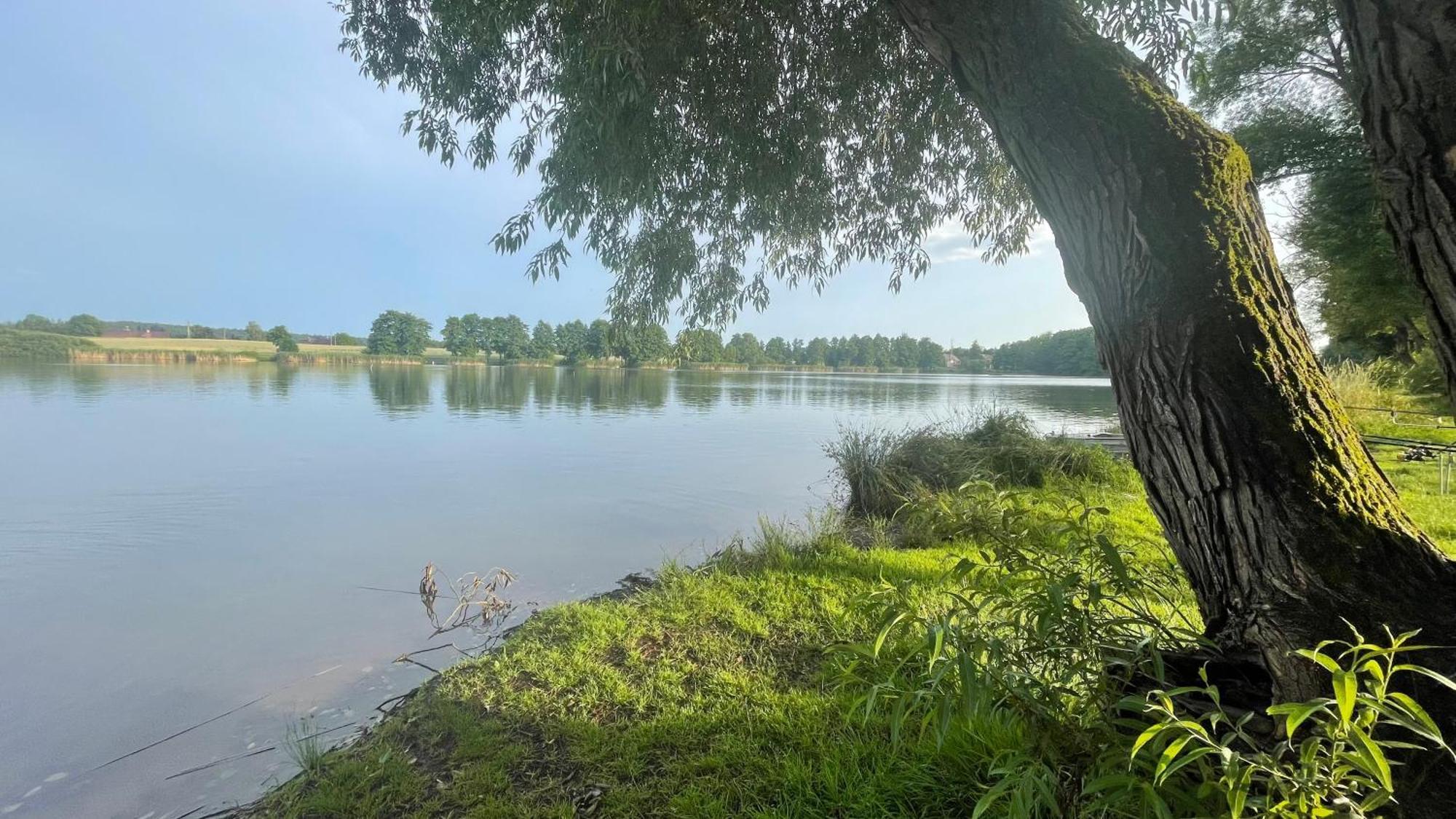 Chata Brodsky Villa Červený Kostelec Bagian luar foto